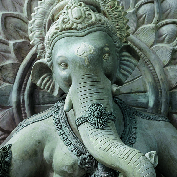 sonika-agarwal-alNQw3b58TA-unsplash_Web