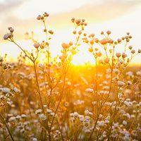 Veganes Retreat mit Yoga on Beat, Yoga Beat Fusion Yoga Choreografie mit Barbara Pascaly in Brandenburg