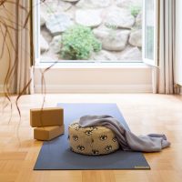 Vju_Yoga_Q6A9732_web