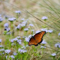 photo-1516571059643-0fe0cdd364d9_Web